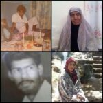 malek sharayi 2