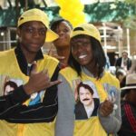 vilpant 4