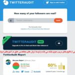 rajavi TwitterAudit Report