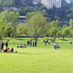 Parc