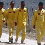 Operation Forty Stars 7